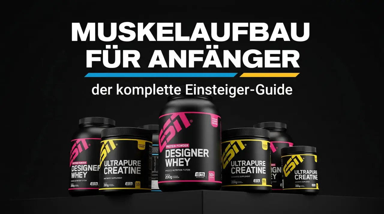 Muskelaufbau für Anfänger 2026 — kompletter Einsteiger-Guide